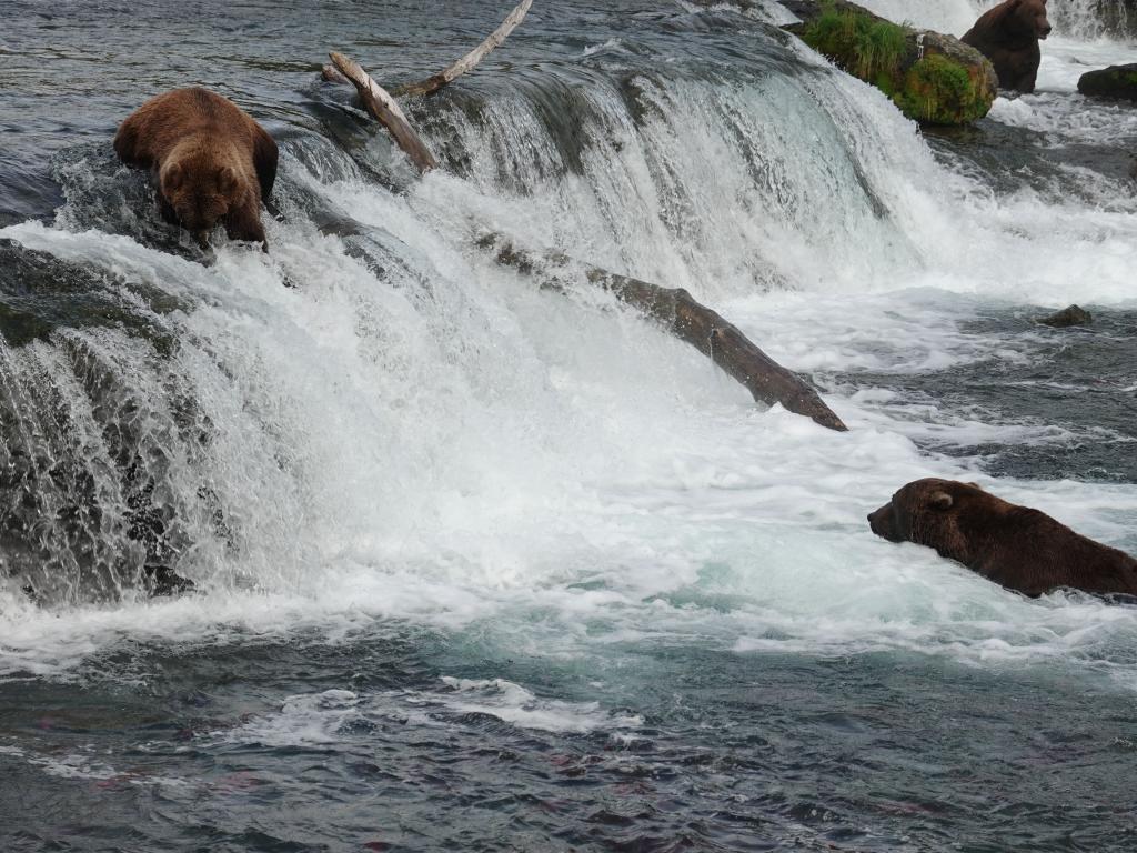 803 - 20190904 Day01 Katmai