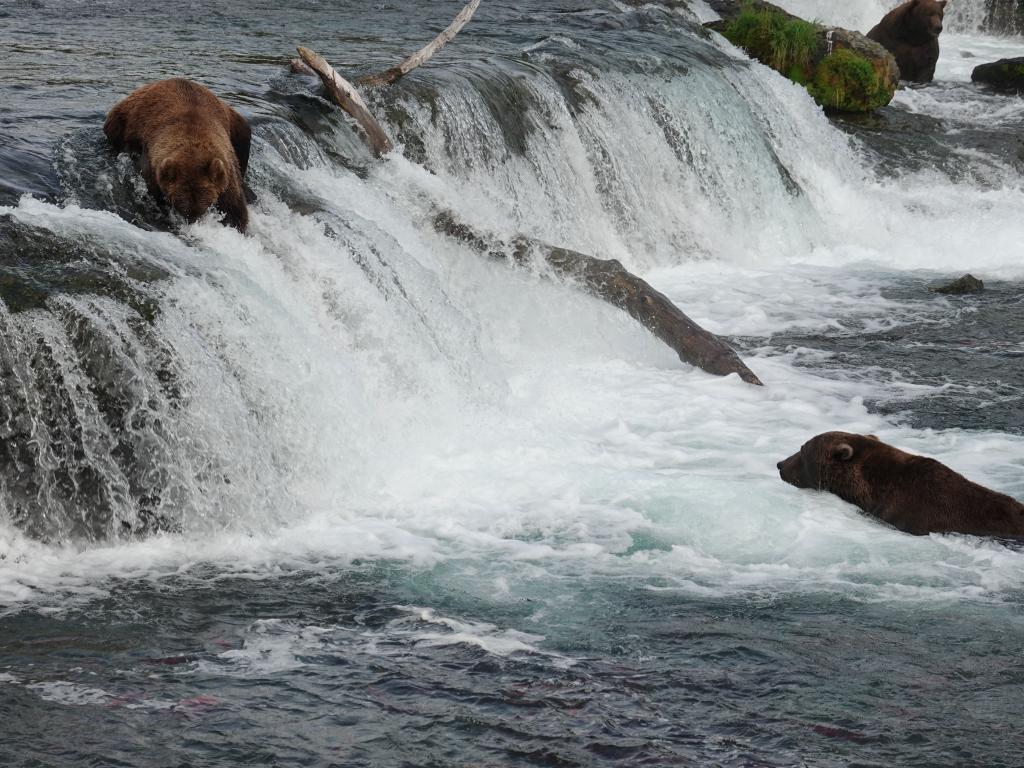 808 - 20190904 Day01 Katmai