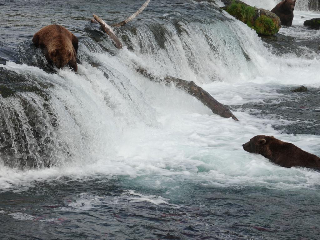 809 - 20190904 Day01 Katmai