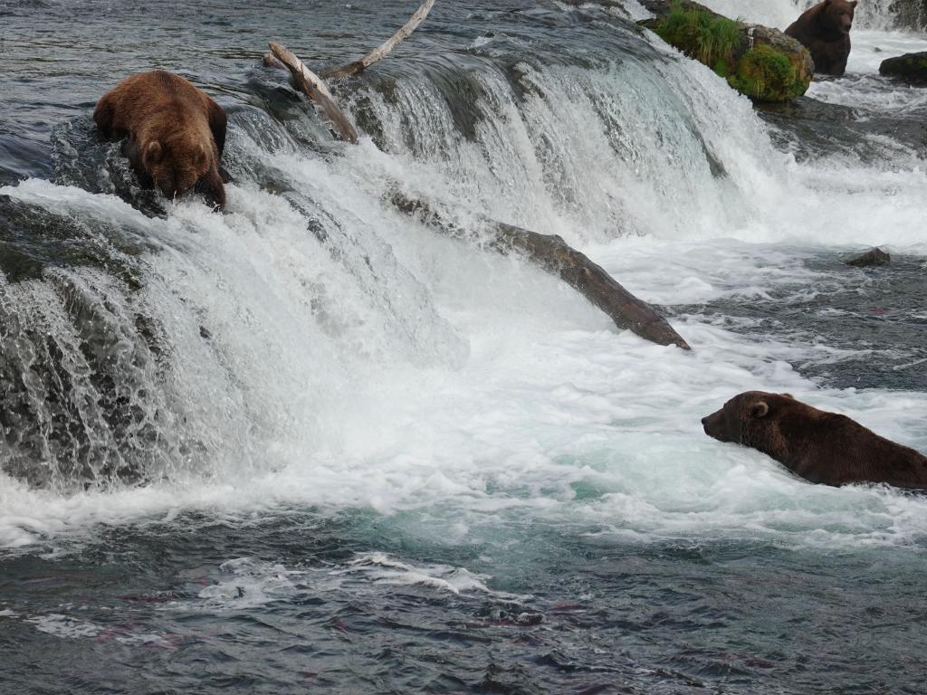 810 - 20190904 Day01 Katmai