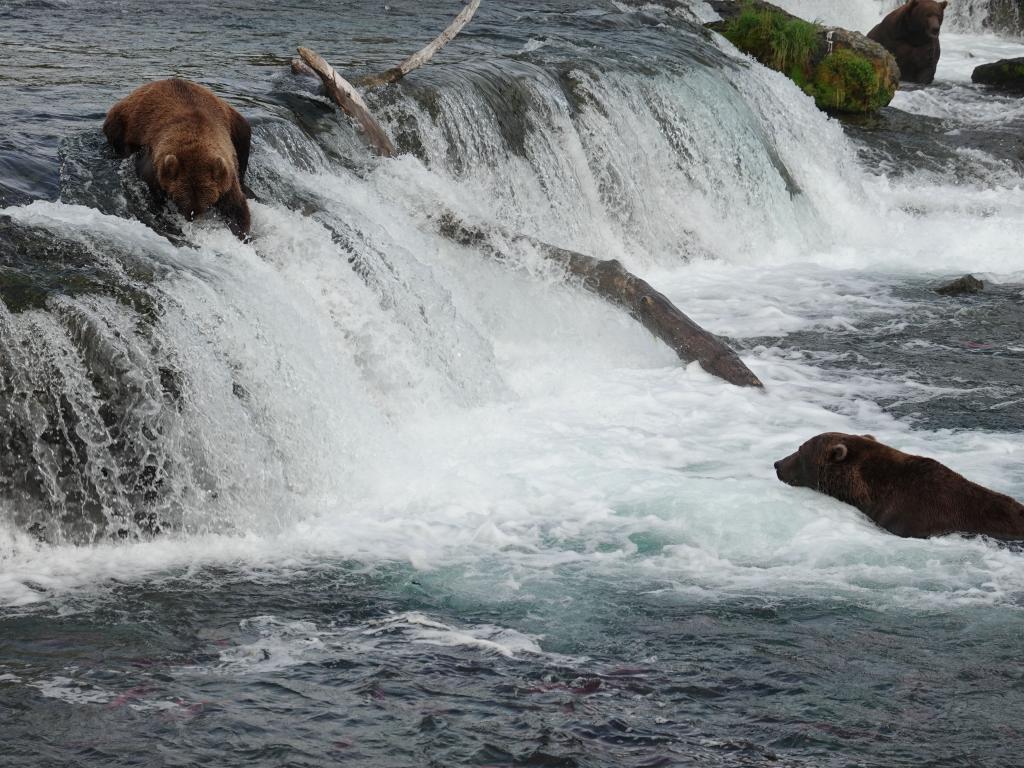 812 - 20190904 Day01 Katmai