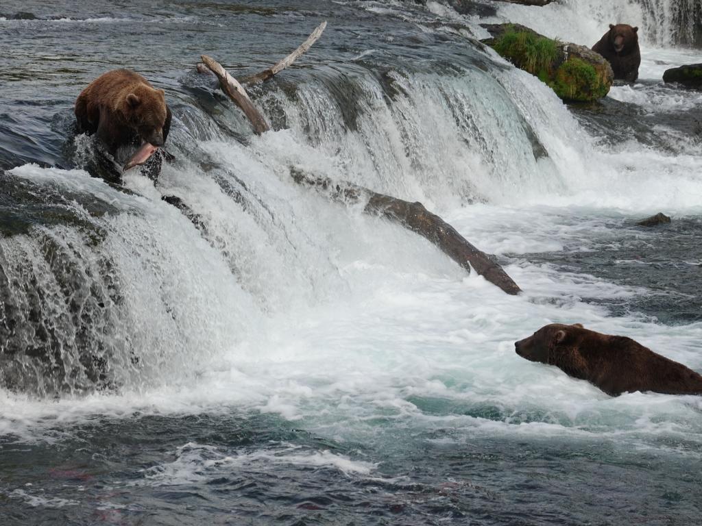 825 - 20190904 Day01 Katmai