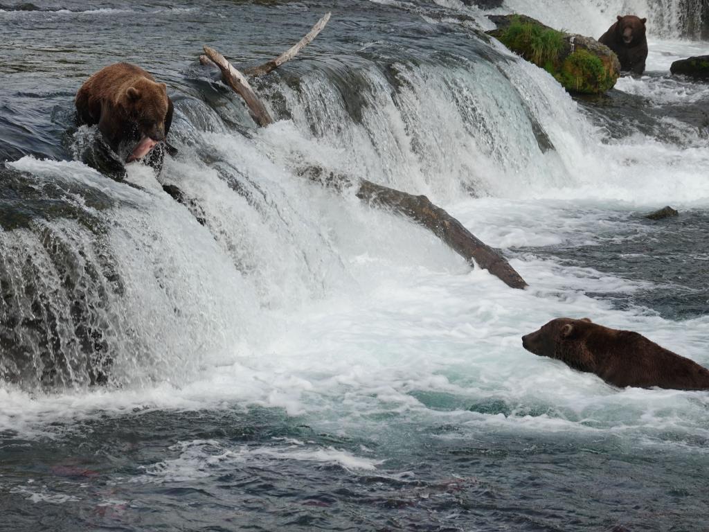 835 - 20190904 Day01 Katmai