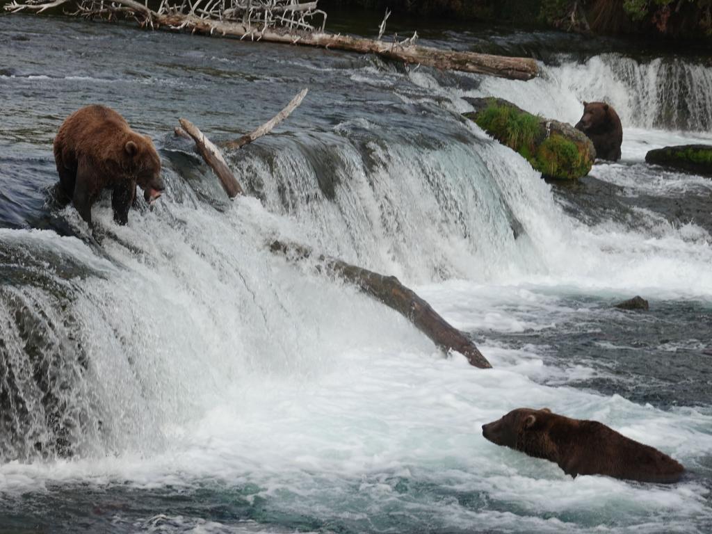 839 - 20190904 Day01 Katmai