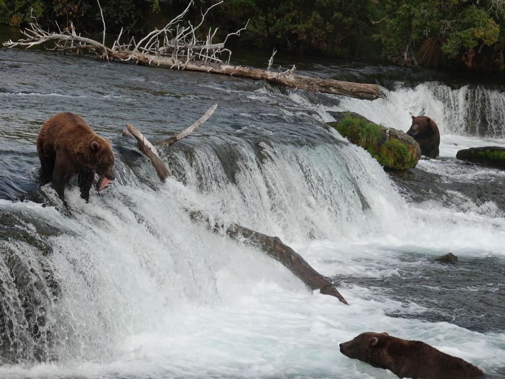 842 - 20190904 Day01 Katmai