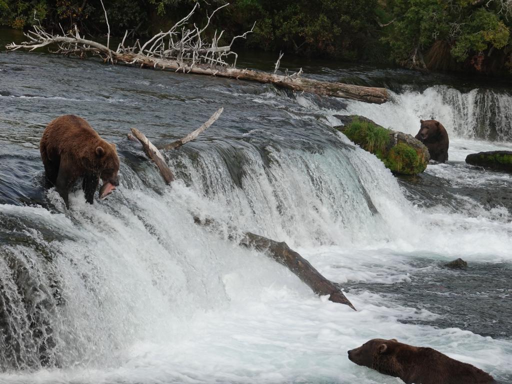 843 - 20190904 Day01 Katmai