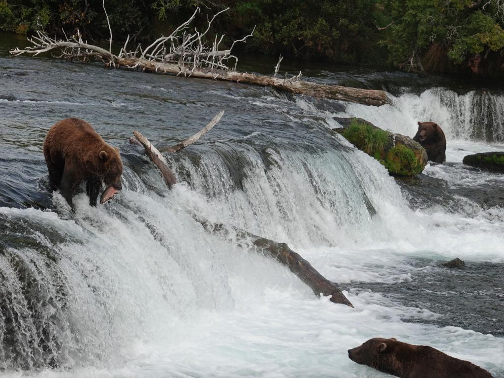 844 - 20190904 Day01 Katmai