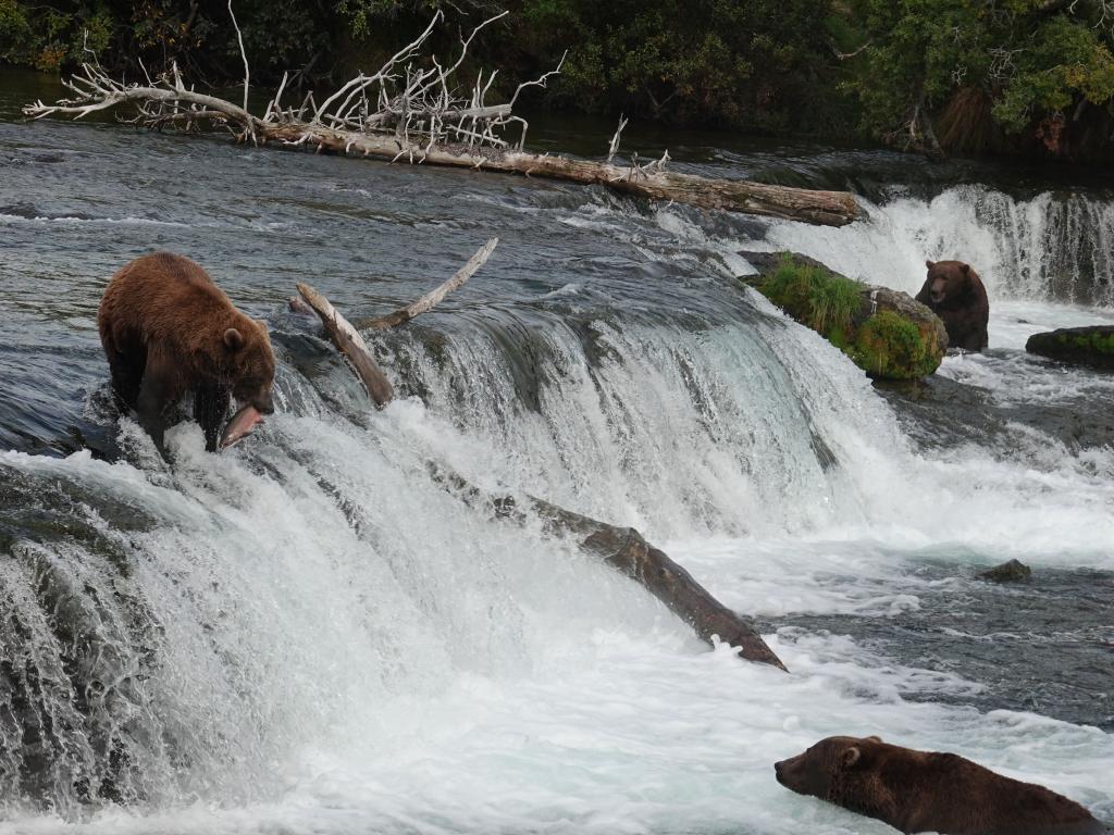 845 - 20190904 Day01 Katmai