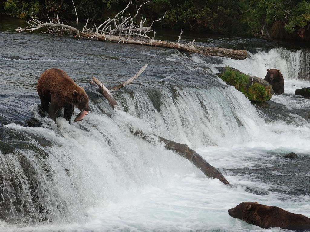 849 - 20190904 Day01 Katmai