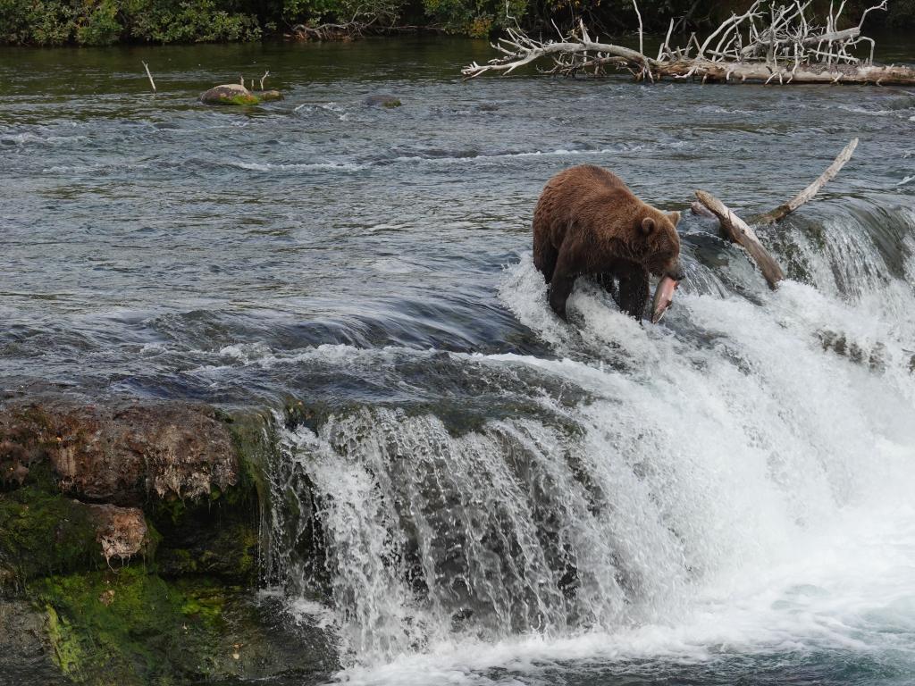 851 - 20190904 Day01 Katmai