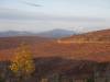 123 - 20190906 Day03 Denali Park