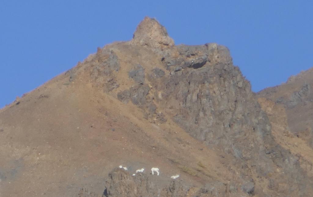 202 - 20190906 Day03 Denali Park