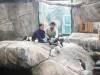 2183 - 20190912 Alaska Sealife Center