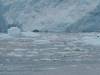 3102 - 20190913 Day10 Seward Glacier Cruise
