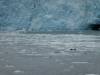 3110 - 20190913 Day10 Seward Glacier Cruise