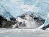 3119 - 20190913 Day10 Seward Glacier Cruise