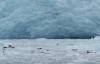 3125 - 20190913 Day10 Seward Glacier Cruise