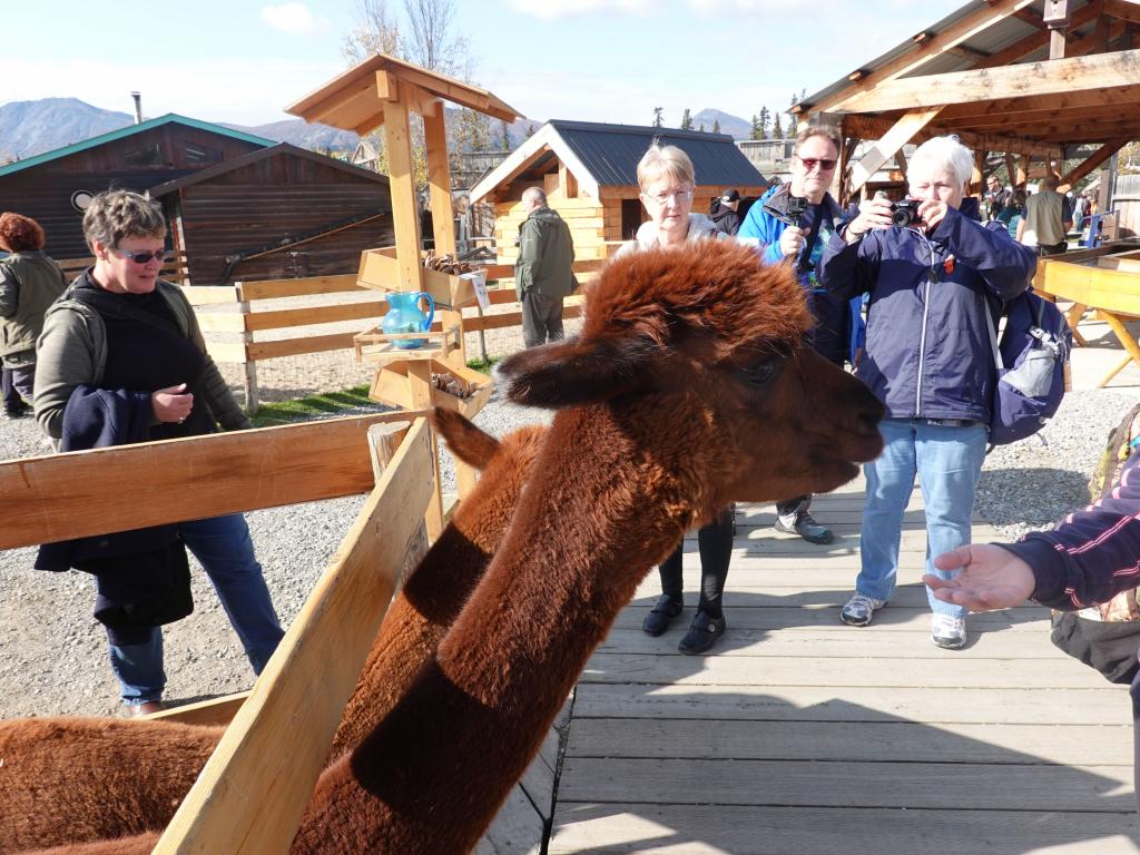 243 - 20190917 Day14 Skagway