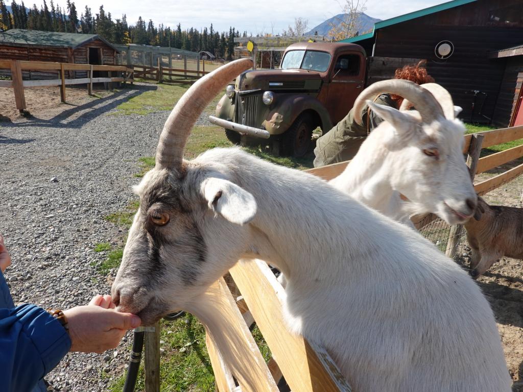 245 - 20190917 Day14 Skagway