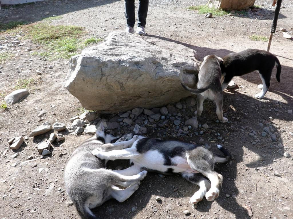 263 - 20190917 Day14 Skagway