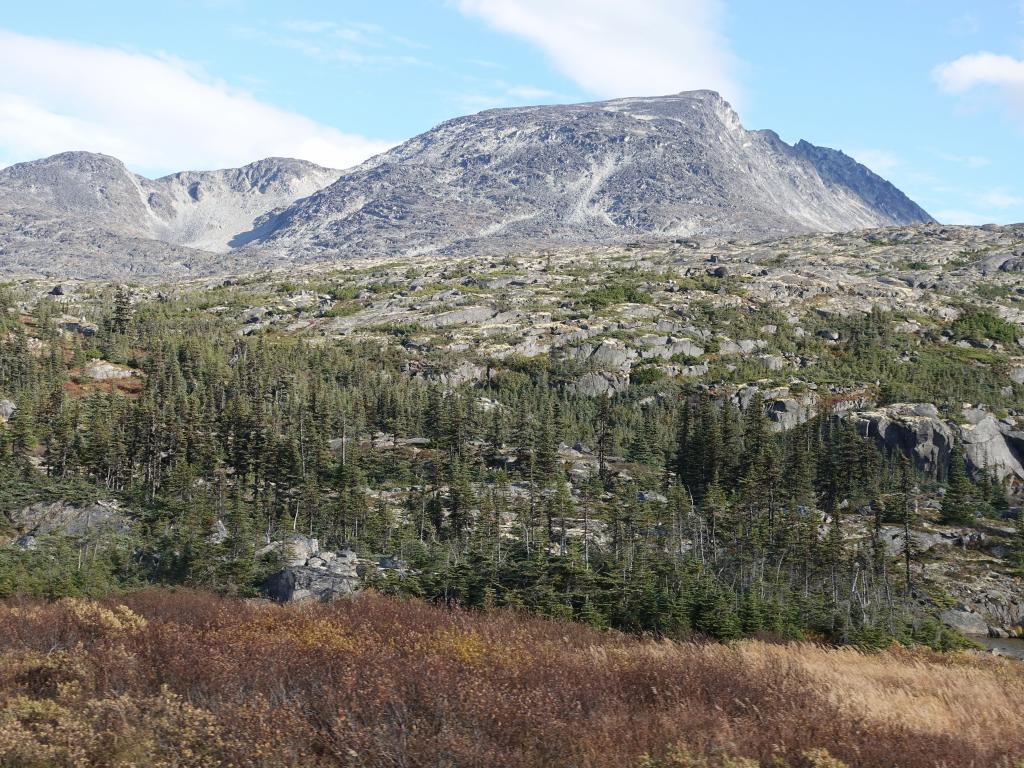 339 - 20190917 Day14 Skagway