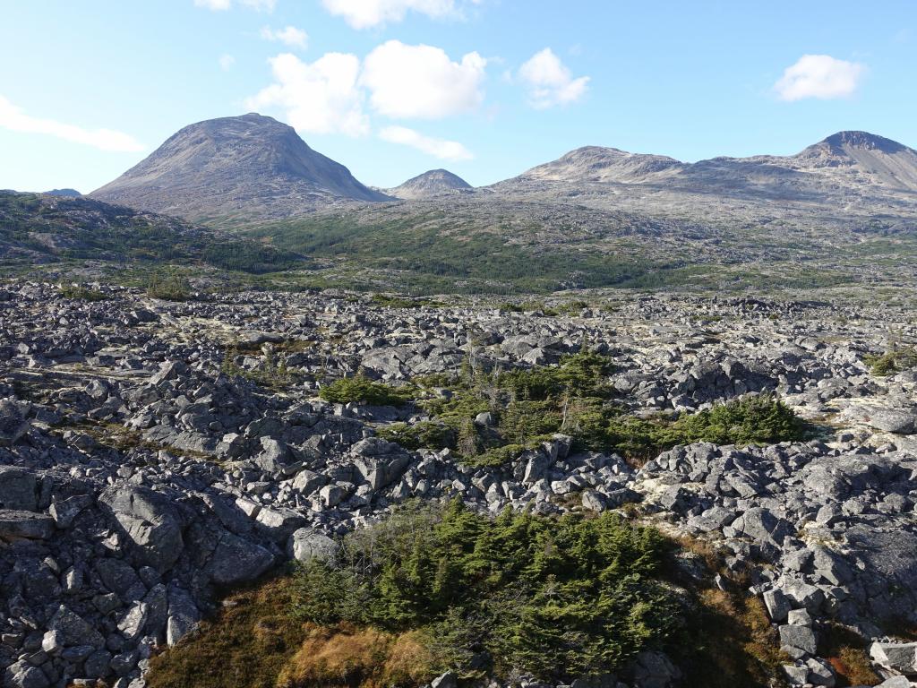 343 - 20190917 Day14 Skagway