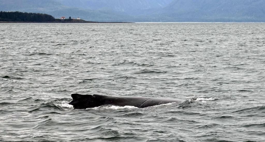 105 - 20190918 Day15 Juneau