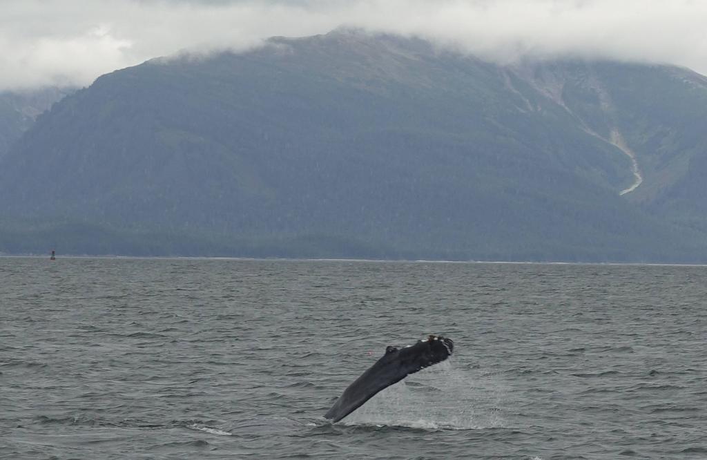 108 - 20190918 Day15 Juneau