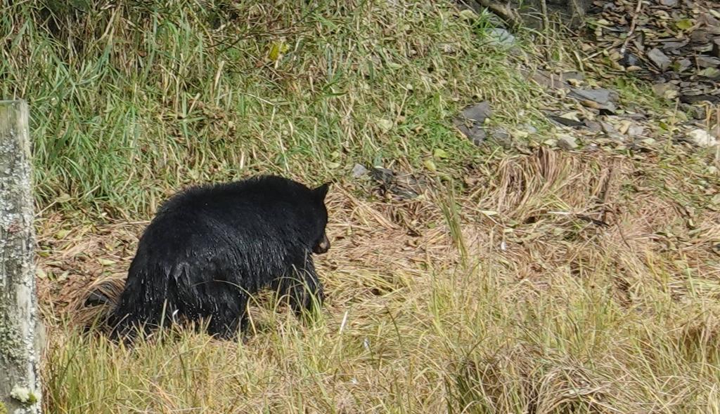 243 - 20190919 Day16 Ketchikan