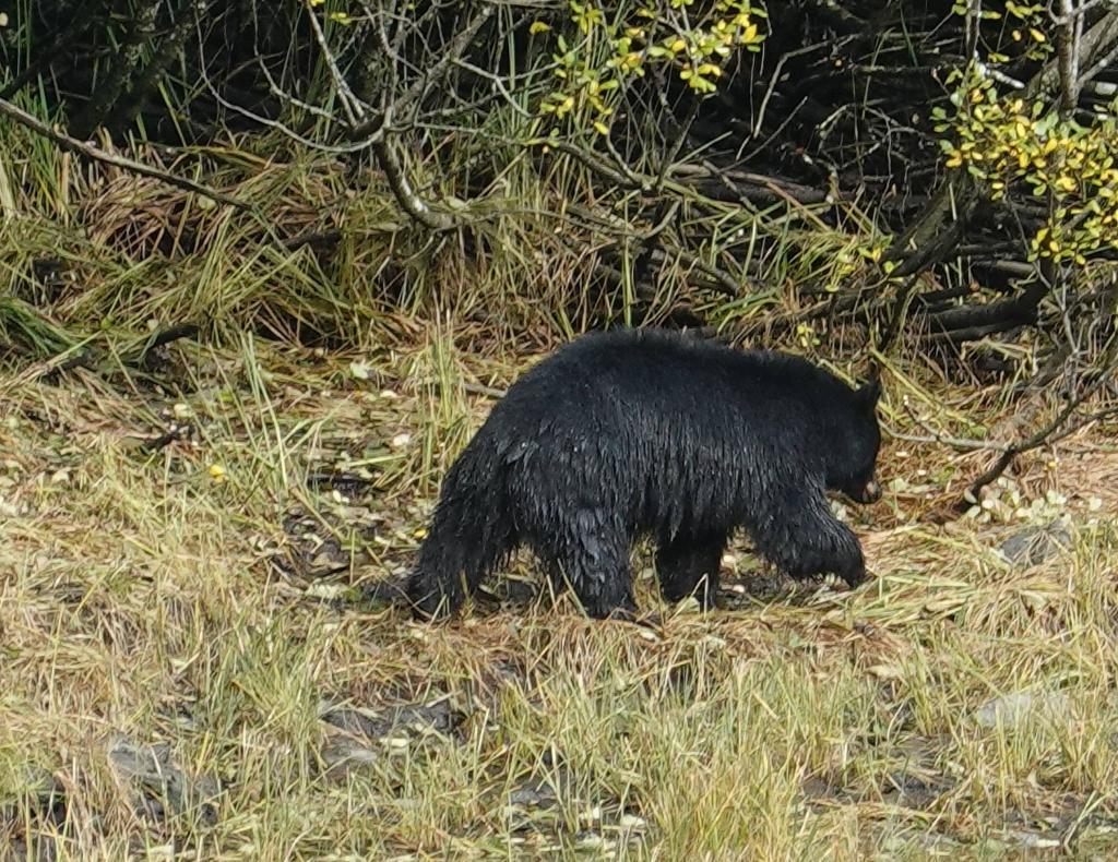 246 - 20190919 Day16 Ketchikan