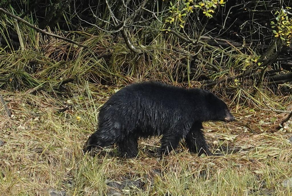 247 - 20190919 Day16 Ketchikan