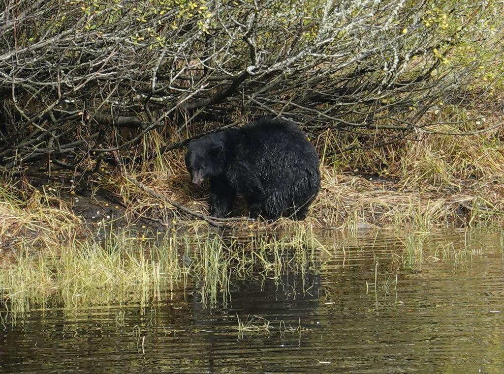 248 - 20190919 Day16 Ketchikan