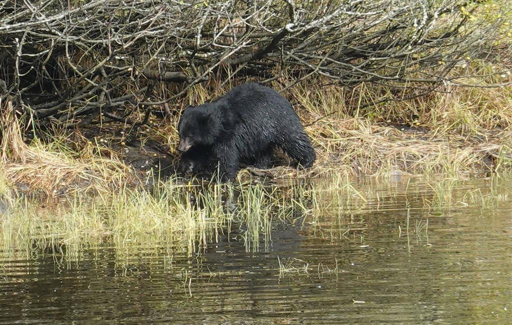 249 - 20190919 Day16 Ketchikan