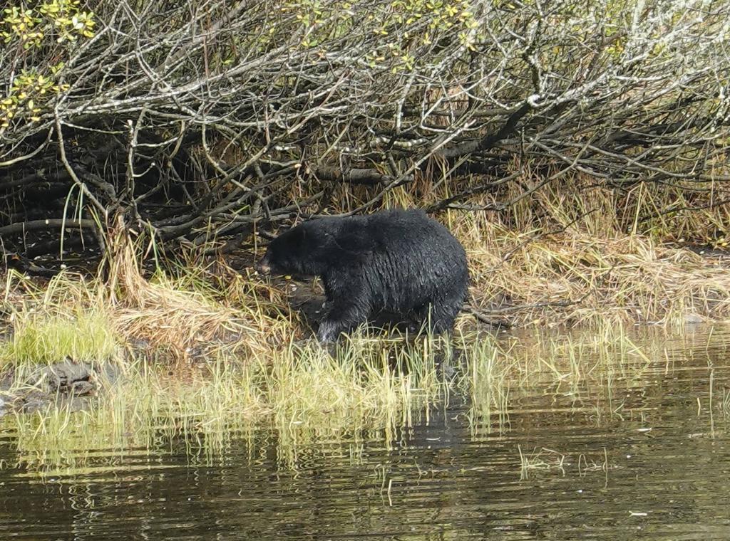 250 - 20190919 Day16 Ketchikan