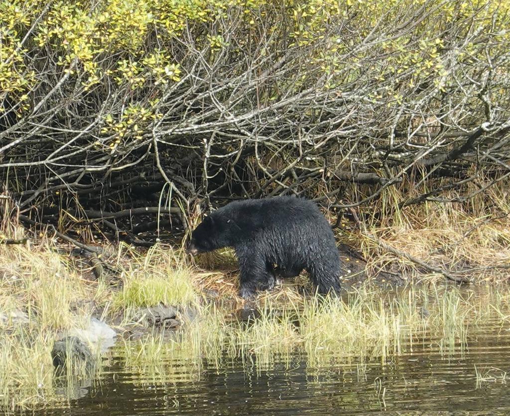 251 - 20190919 Day16 Ketchikan