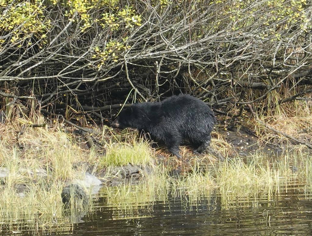 253 - 20190919 Day16 Ketchikan