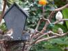 506 - 20190921 Vancouver Bloedel Conservatory