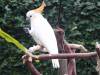 535 - 20190921 Vancouver Bloedel Conservatory