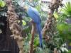 539 - 20190921 Vancouver Bloedel Conservatory