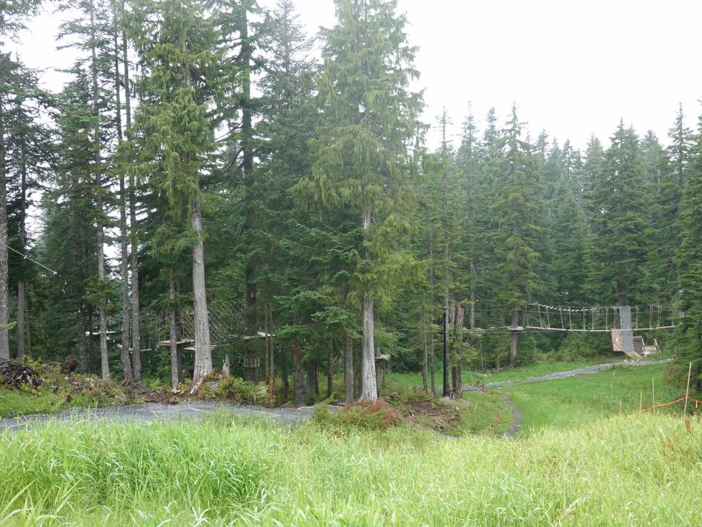 204 - 20190921 Vancouver Grouse Mountain