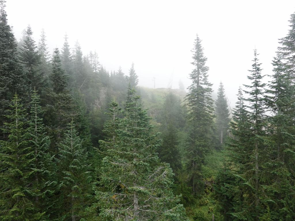 251 - 20190921 Vancouver Grouse Mountain