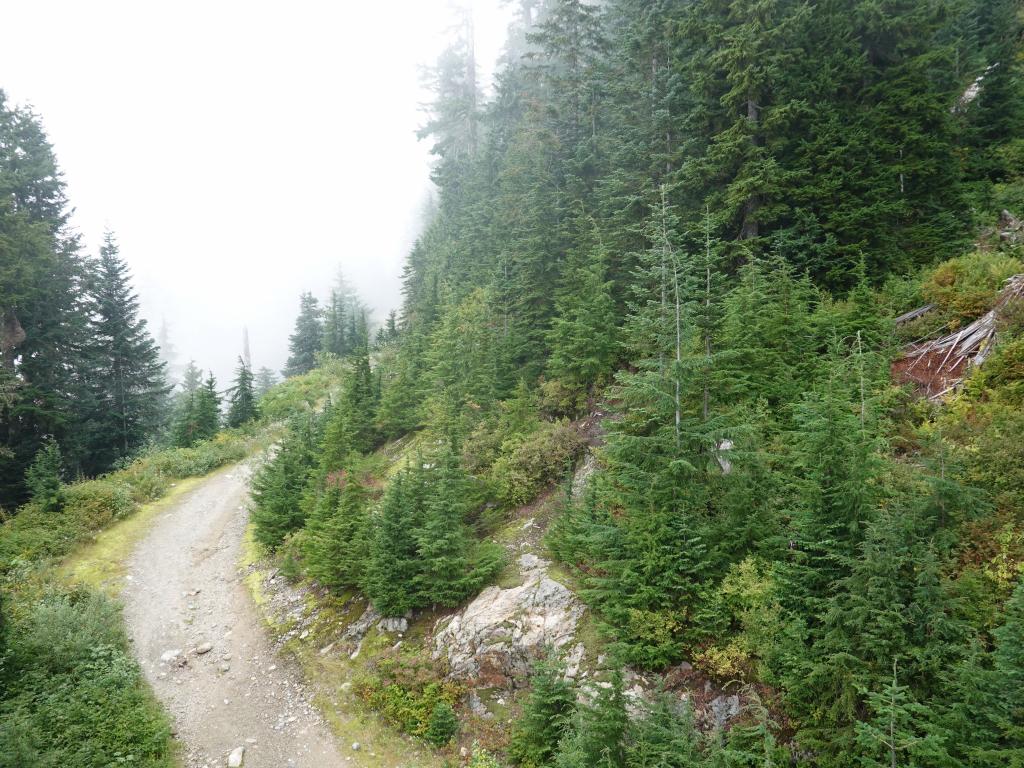 253 - 20190921 Vancouver Grouse Mountain