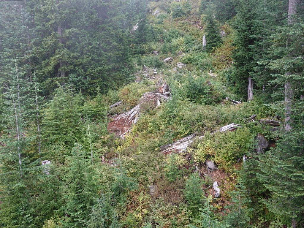 254 - 20190921 Vancouver Grouse Mountain