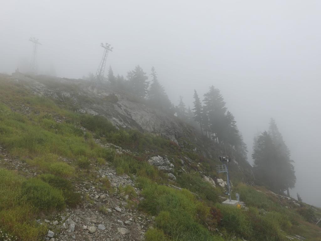 256 - 20190921 Vancouver Grouse Mountain