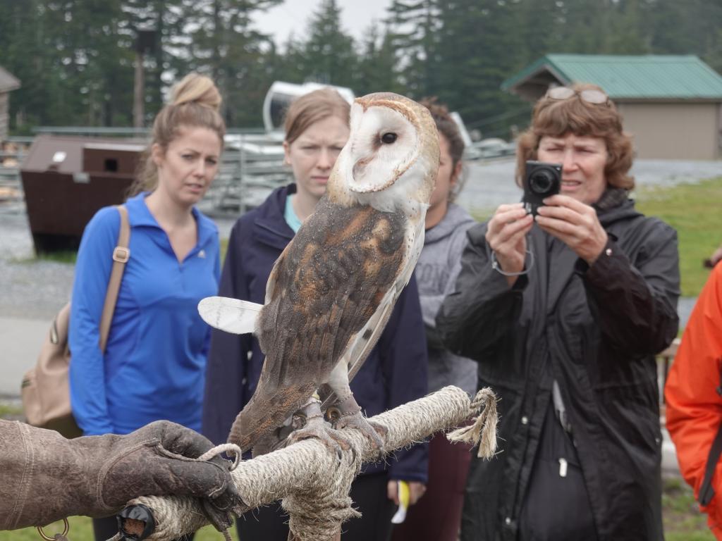 267 - 20190921 Vancouver Grouse Mountain