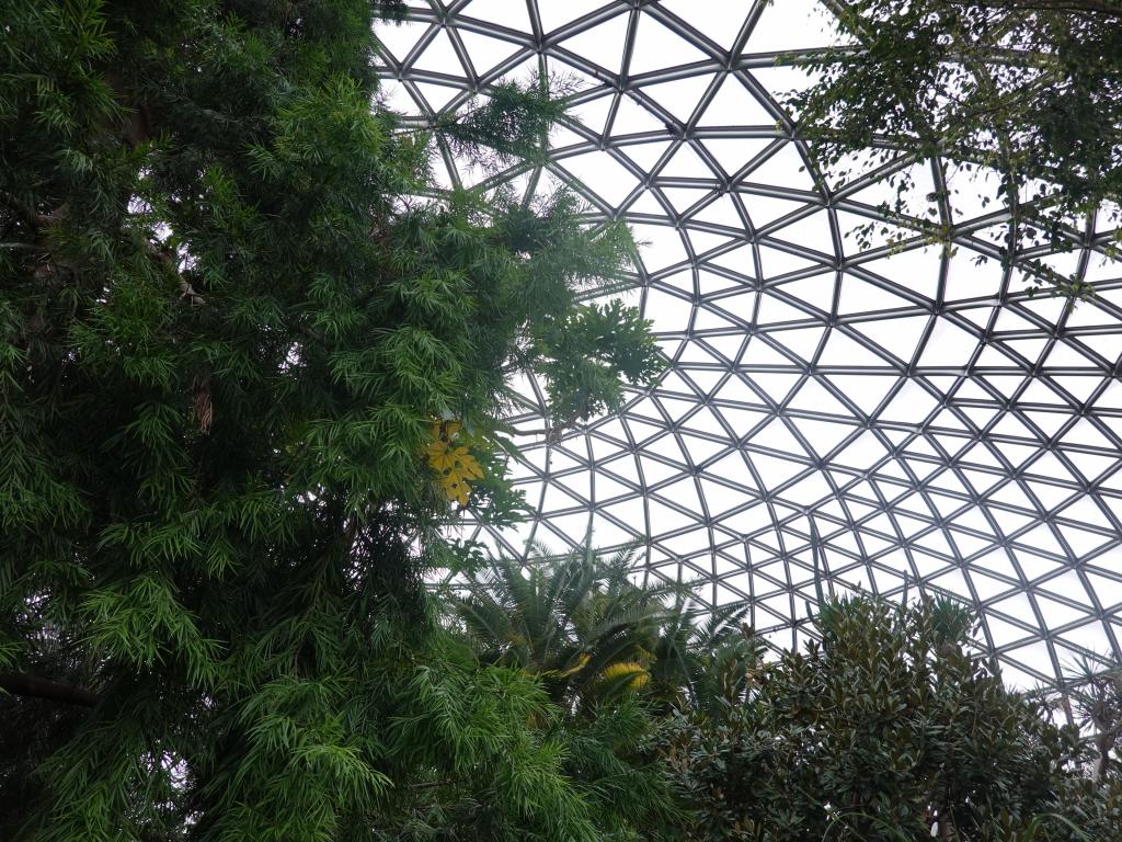 543 - 20190921 Vancouver Bloedel Conservatory