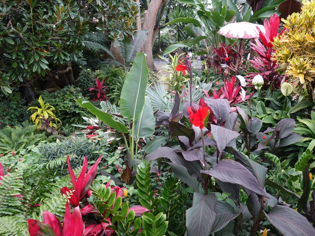 545 - 20190921 Vancouver Bloedel Conservatory