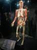 206 - 20191016 Amsterdam Body World