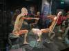 220 - 20191016 Amsterdam Body World