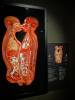 233 - 20191016 Amsterdam Body World